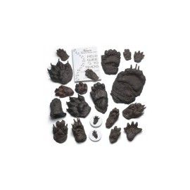 Set de comparación track size