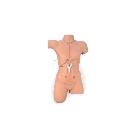 Simulador de vendaje "Surgical Sally"