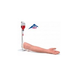 Brazo de entrenamiento de lujo para inyección intravenosa 3B Scientific