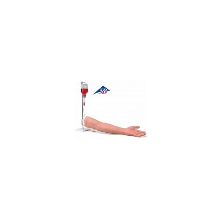 Brazo de entrenamiento de lujo para inyección intravenosa 3B Scientific