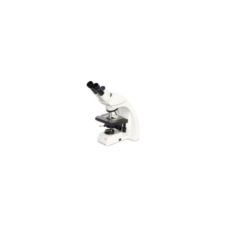 Microscopio binocular DM750