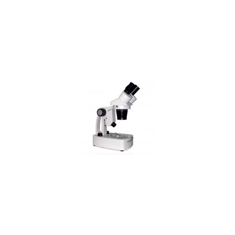 Microscopio estereoscopio con cabeza binocular inclinada a 45°