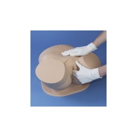 Entrenador pélvico femenino (CFPT) Avanzado