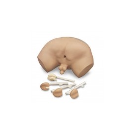 Simulador para exámen de próstata