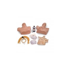 Piel y venas para CVC