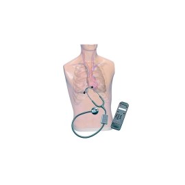 Entrenador de auscultacion con smartscope