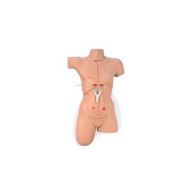 Simulador de vendaje "Surgical Sally" NAS-LF00929U MARCA -  Nasco