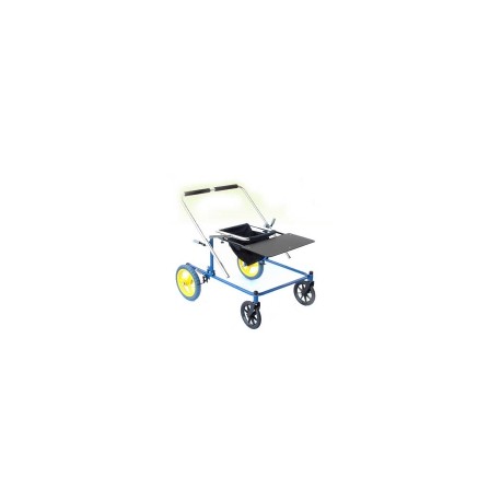 Andadera de cubo infantil PCI Mod. Easy Roll ESR-APCI-05PS MARCA -  Easy Roll