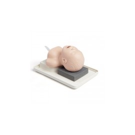 Maniquí cabeza de intubación Neonatal