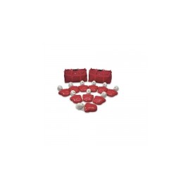 Maniquí para RCP adulto basic buddy 10 pack Nasco