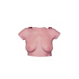 Modelo para la palpación de mama para colgar